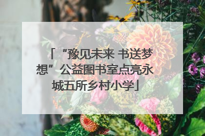 “豫见未来 书送梦想”公益图书室点亮永城五所乡村小学
