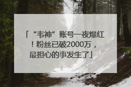 “韦神”账号一夜爆红！粉丝已破2000万，最担心的事发生了