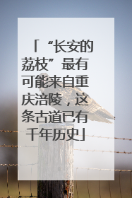“长安的荔枝”最有可能来自重庆涪陵，这条古道已有千年历史