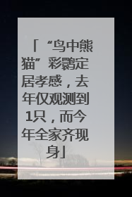 “鸟中熊猫”彩鹮定居孝感，去年仅观测到1只，而今年全家齐现身