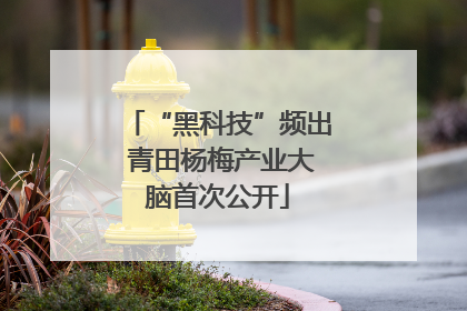 “黑科技”频出 青田杨梅产业大脑首次公开
