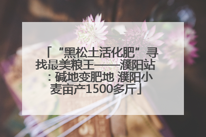“黑松土活化肥”寻找最美粮王——濮阳站：碱地变肥地 濮阳小麦亩产1500多斤