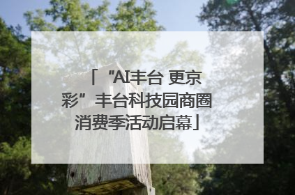 “AI丰台 更京彩”丰台科技园商圈消费季活动启幕