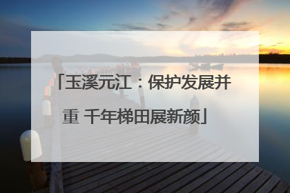 玉溪元江：保护发展并重 千年梯田展新颜