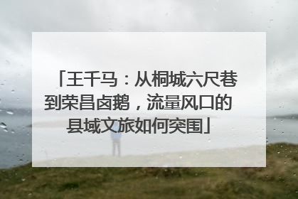 王千马：从桐城六尺巷到荣昌卤鹅，流量风口的县域文旅如何突围