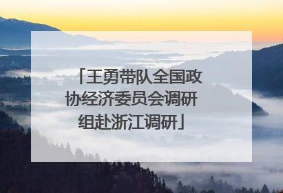 王勇带队全国政协经济委员会调研组赴浙江调研
