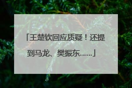 王楚钦回应质疑！还提到马龙、樊振东……