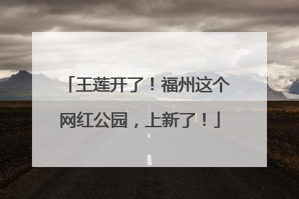 王莲开了！福州这个网红公园，上新了！