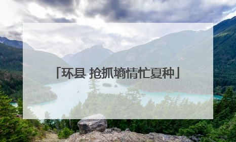 环县 抢抓墒情忙夏种