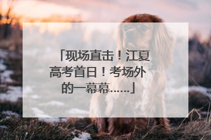 现场直击！江夏高考首日！考场外的一幕幕……