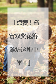 点赞！省赛双奖花落潍坊这所中学！