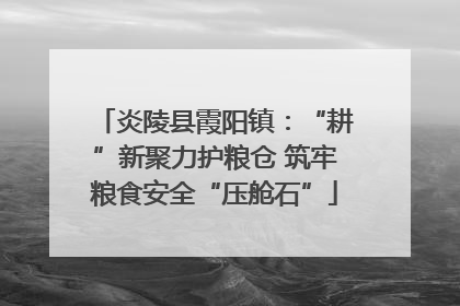 炎陵县霞阳镇：“耕”新聚力护粮仓 筑牢粮食安全“压舱石”