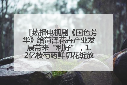 热播电视剧《国色芳华》给菏泽花卉产业发展带来“利好”，1.2亿枝芍药鲜切花绽放“国色芳华”
