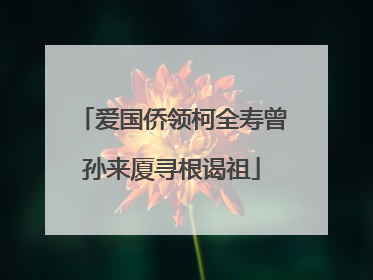 爱国侨领柯全寿曾孙来厦寻根谒祖