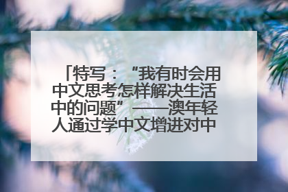 特写：“我有时会用中文思考怎样解决生活中的问题”——澳年轻人通过学中文增进对中华文化的理解