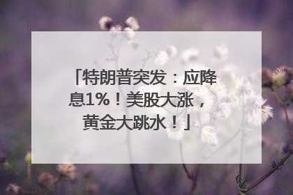 特朗普突发：应降息1%！美股大涨，黄金大跳水！