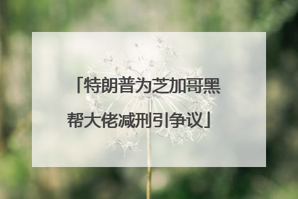 特朗普为芝加哥黑帮大佬减刑引争议