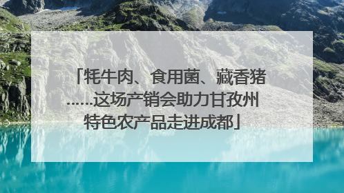牦牛肉、食用菌、藏香猪……这场产销会助力甘孜州特色农产品走进成都