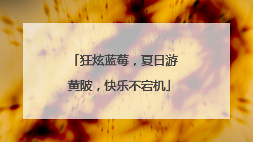 狂炫蓝莓，夏日游黄陂，快乐不宕机