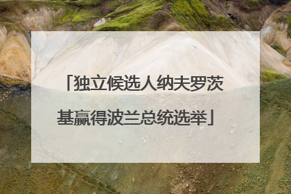 独立候选人纳夫罗茨基赢得波兰总统选举