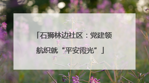 石狮林边社区：党建领航织就“平安霞光”