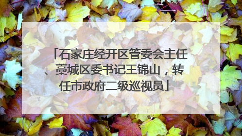 石家庄经开区管委会主任、藁城区委书记王锦山，转任市政府二级巡视员