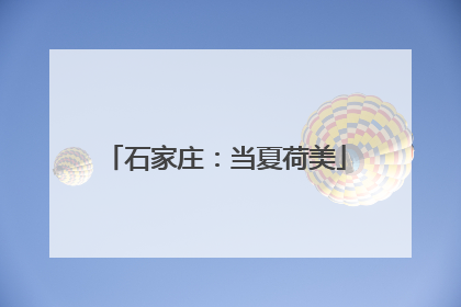 石家庄：当夏荷美
