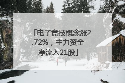 电子竞技概念涨2.72%，主力资金净流入21股