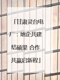 甘肃灵台电厂：地企共建结硕果 合作共赢启新程