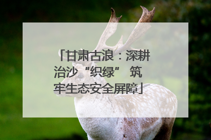 甘肃古浪：深耕治沙“织绿” 筑牢生态安全屏障
