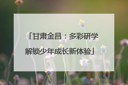 甘肃金昌：多彩研学解锁少年成长新体验