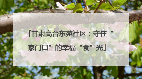 甘肃高台东苑社区：守住“家门口”的幸福“食”光