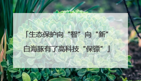 生态保护向“智”向“新” 白海豚有了高科技“保镖”