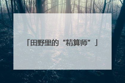 田野里的“精算师”