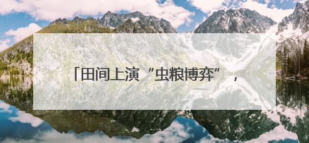 田间上演“虫粮博弈”，生物武器扭转“战局”