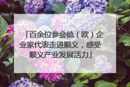 百余位参会德（欧）企业家代表走进顺义，感受顺义产业发展活力