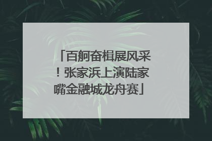 百舸奋楫展风采！张家浜上演陆家嘴金融城龙舟赛