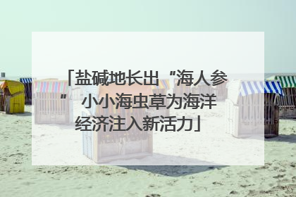 盐碱地长出“海人参” 小小海虫草为海洋经济注入新活力