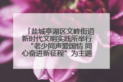 盐城亭湖区文峰街道新时代文明实践所举行“老少同声爱国情 同心奋进新征程”为主题的红色文化活动