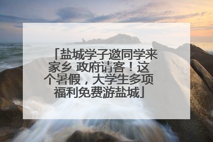 盐城学子邀同学来家乡 政府请客！这个暑假，大学生多项福利免费游盐城