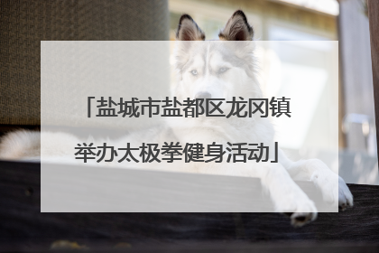 盐城市盐都区龙冈镇举办太极拳健身活动