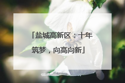 盐城高新区：十年筑梦，向高向新