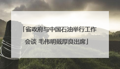 省政府与中国石油举行工作会谈 毛伟明戴厚良出席