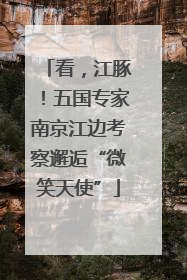 看，江豚！五国专家南京江边考察邂逅“微笑天使”