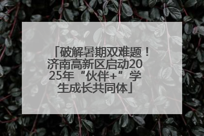 破解暑期双难题！济南高新区启动2025年“伙伴+”学生成长共同体