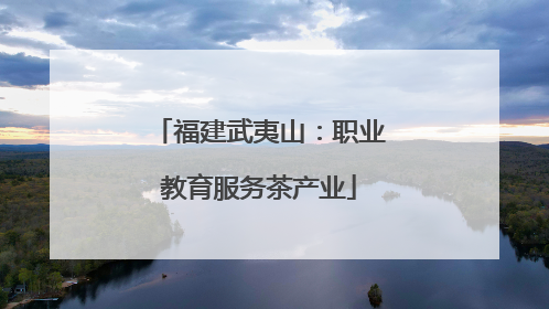 福建武夷山：职业教育服务茶产业