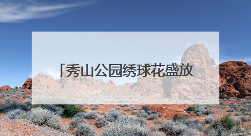 秀山公园绣球花盛放 多彩花海引客来
