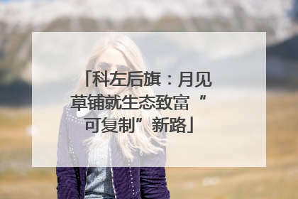 科左后旗：月见草铺就生态致富“可复制”新路