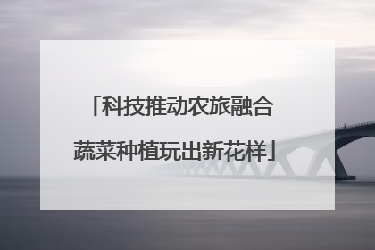 科技推动农旅融合 蔬菜种植玩出新花样