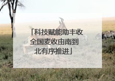 科技赋能助丰收 全国麦收由南到北有序推进
